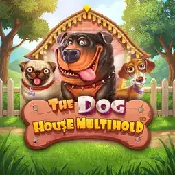 The Dog House Multihold game at Swift Casino for United Kingdom players The Dog House Multihold game at Swift Casino for United Kingdom players